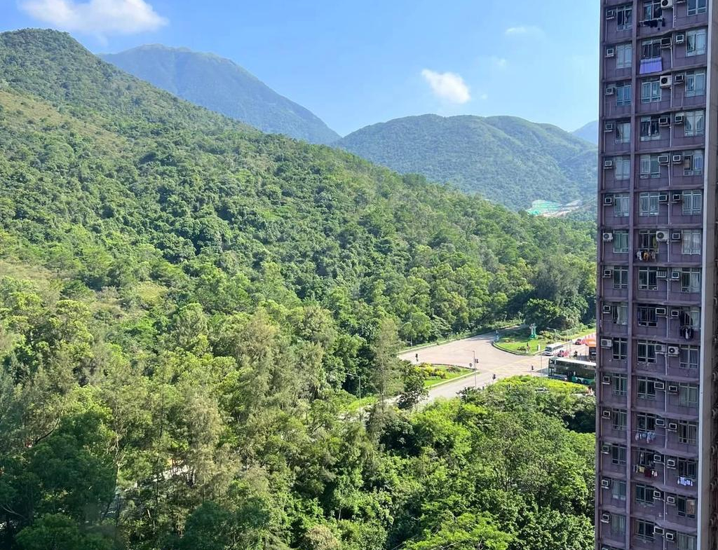 裕東苑 賀東閣 (B座) - 28NTS – 香港北部都會區
