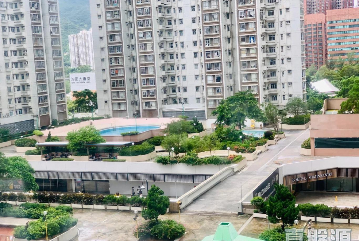 好運中心 椰林閣 (B2座) - 28NTS – 香港北部都會區