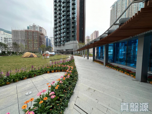 星凱．堤岸 5座 - 28NTS – 香港北部都會區