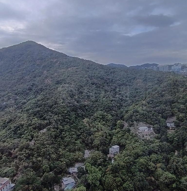 駿景園 2期 10座 - 28NTS – 香港北部都會區