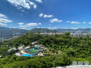 1776079817e1f8c695-729f-4966-a532-3c65790810b4.jpeg 名日.九肚山 2座 - 28NTS – 香港北部都會區