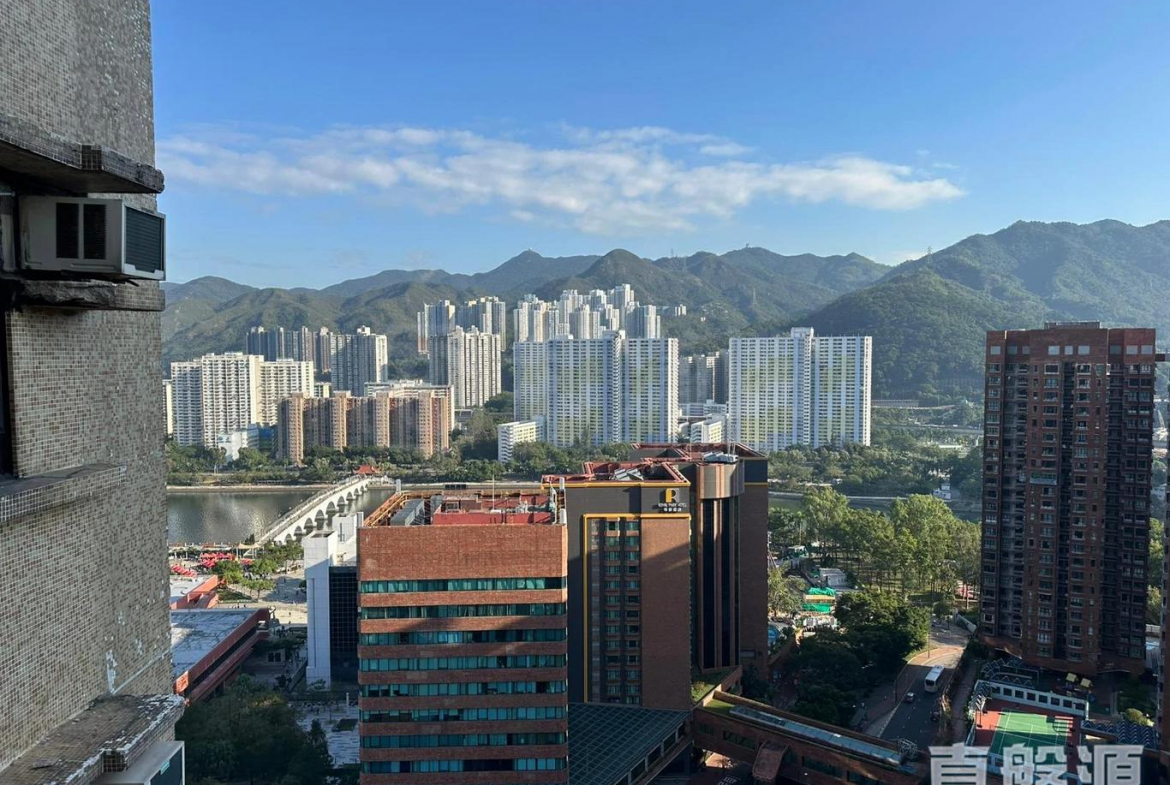 偉華中心 3座 - 28NTS – 香港北部都會區
