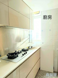 17760808033a564390-142a-45a4-a5fd-edf79bc601cd.jpeg 尚悅 10座 - 28NTS – 香港北部都會區