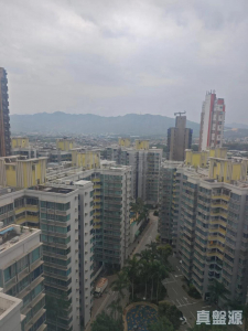1776083507a9fd0a70-ce6c-4d40-a3ce-c1219d46bad3.jpeg 尚悅 13座 - 28NTS – 香港北部都會區