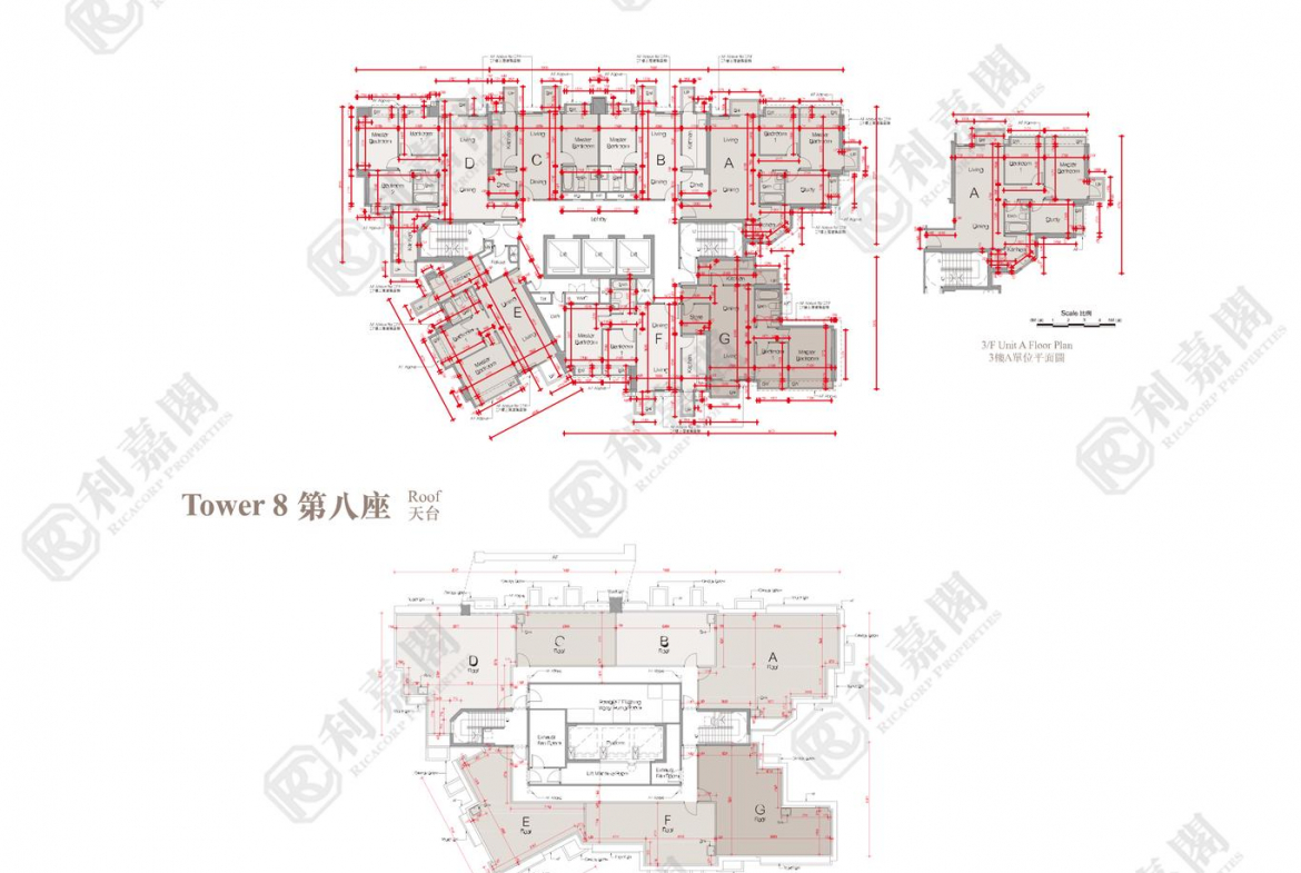 溱柏 8座 - 28NTS – 香港北部都會區
