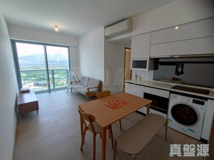 峻巒 2B期 PARK YOHO NAPOLI 21B座 - 28NTS – 香港北部都會區