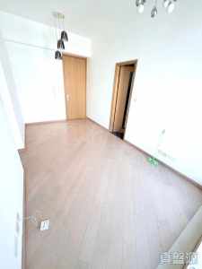 溱林 1座 - 28NTS – 香港北部都會區