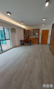 柏麗豪園 1座 - 28NTS – 香港北部都會區