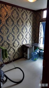 17760962652043522a-5ee7-4a8d-ace3-1c584c23b10d.jpeg 香港黃金海岸 10座 - 28NTS – 香港北部都會區