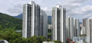 17760967222156e648-e01a-4c22-90af-4fe8068b85c5.jpeg 翠濤閣 3座 - 28NTS – 香港北部都會區