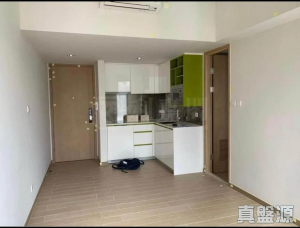 豐連 2座 - 28NTS – 香港北部都會區