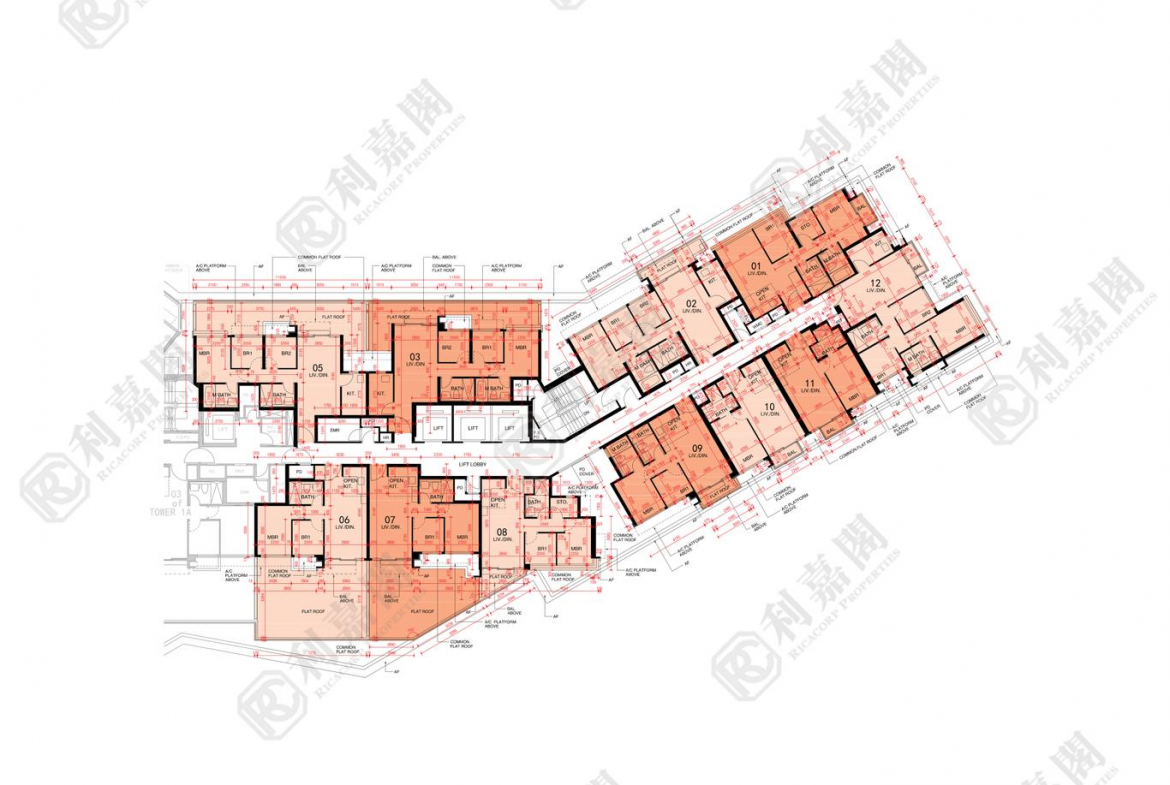 東環 2期 1B座 - 28NTS – 香港北部都會區