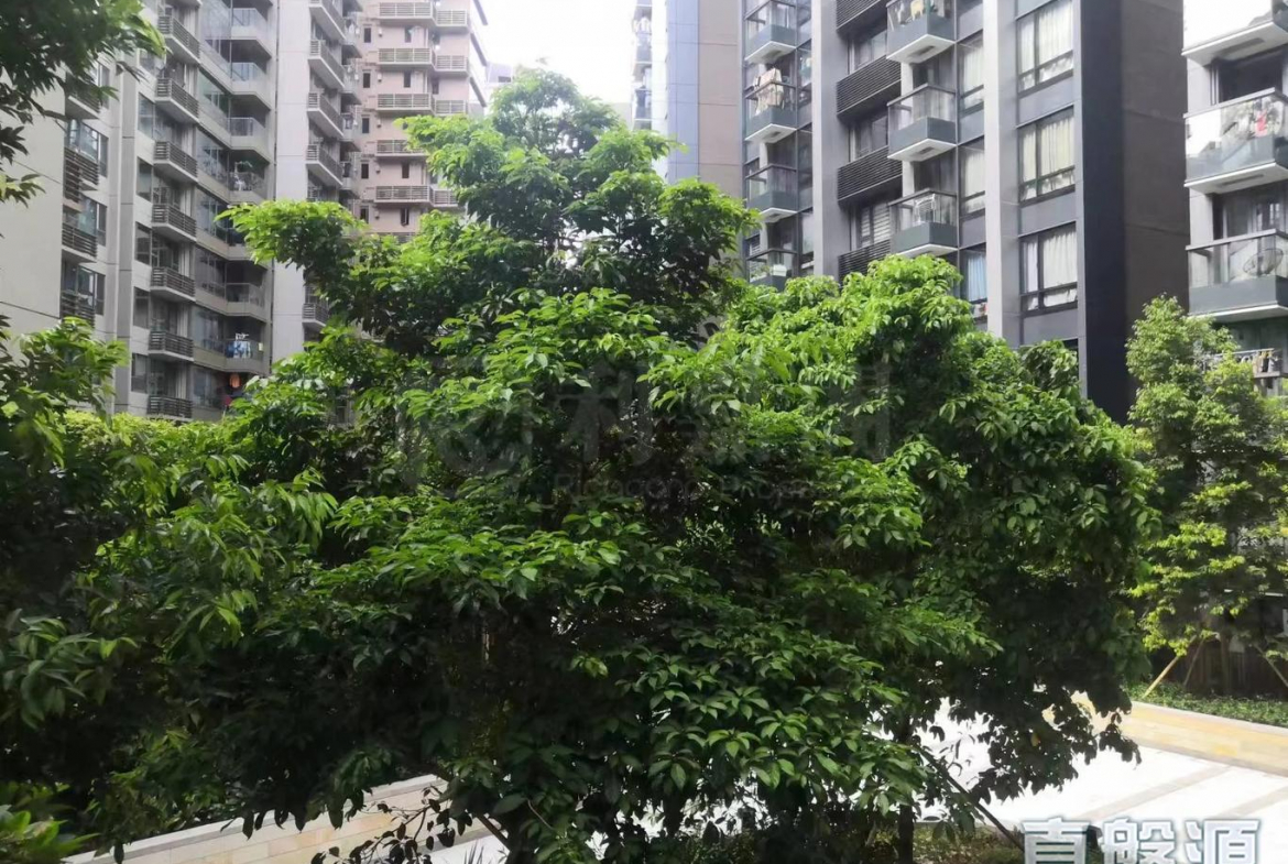 朗濤 7B座 - 28NTS – 香港北部都會區