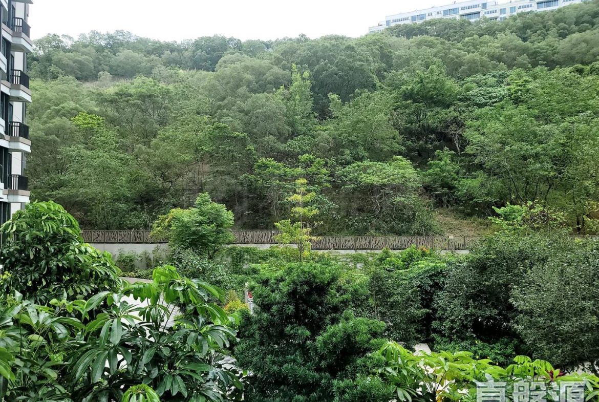 玖瓏山 傲瓏閣 第2座 - 28NTS – 香港北部都會區