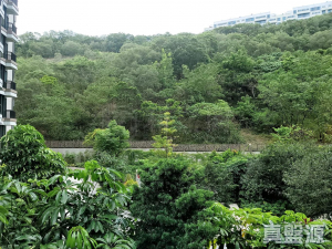 1776107326c546575d-9b02-4ab3-84a8-56ff98f374f1.jpeg 玖瓏山 傲瓏閣 第2座 - 28NTS – 香港北部都會區