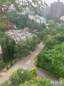 1776107570e50f9c6e-5c41-419d-9cba-f7bdd3e0732e.jpeg 新峰花園 4期 御峰豪園 31座 - 28NTS – 香港北部都會區