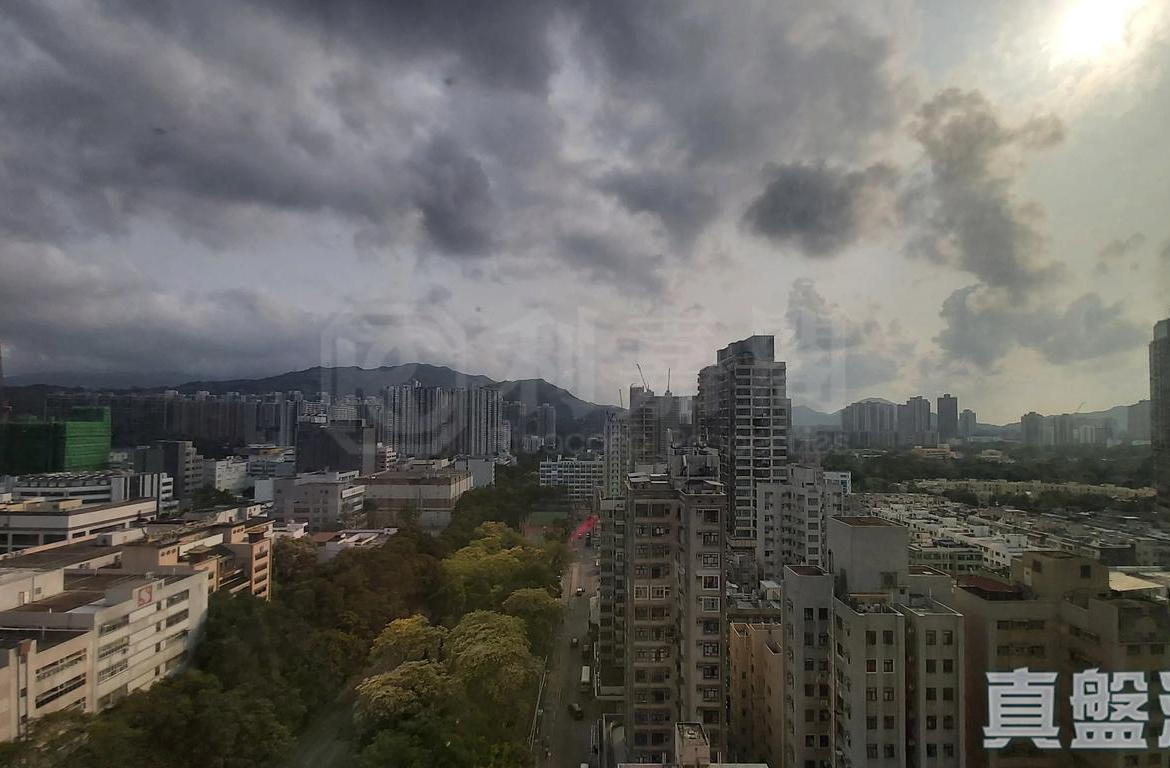 帝庭軒 御庭軒 8座 - 28NTS – 香港北部都會區