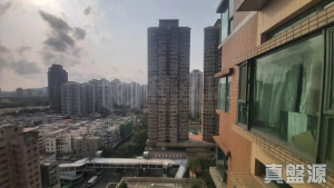 帝庭軒 御庭軒 8座 - 28NTS – 香港北部都會區
