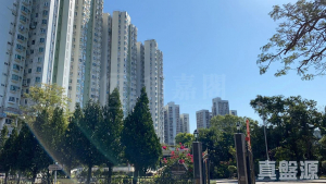 豐景花園 B座 - 28NTS – 香港北部都會區
