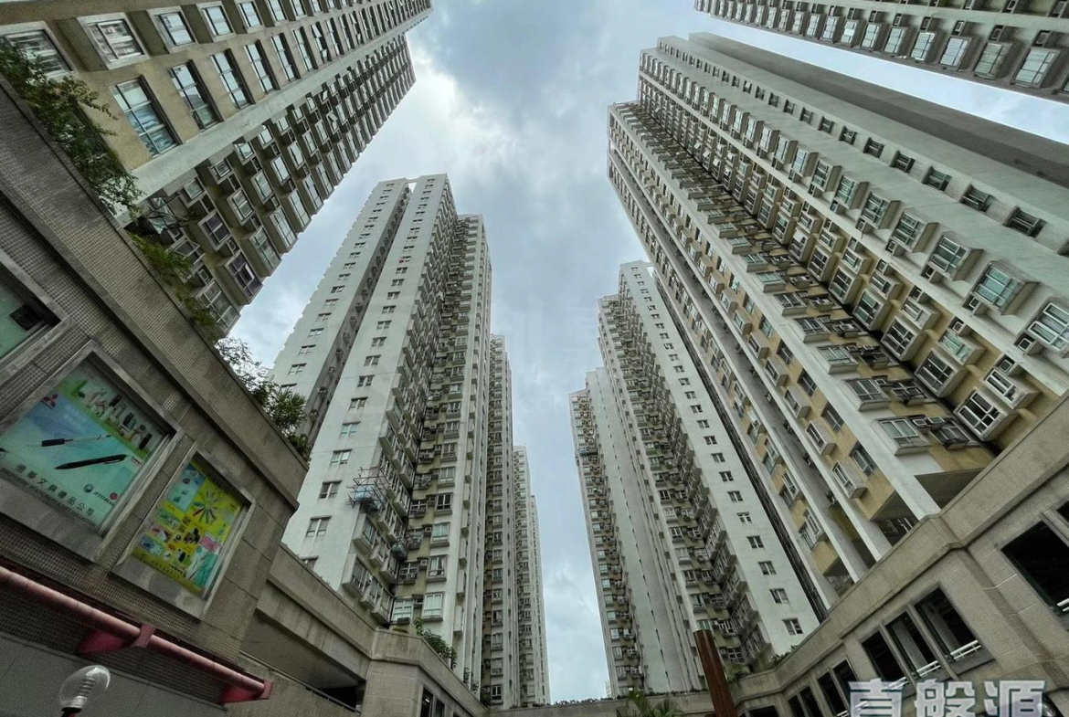 粉嶺中心 1期 B座 - 28NTS – 香港北部都會區