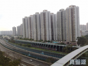 粉嶺中心 1期 B座 - 28NTS – 香港北部都會區