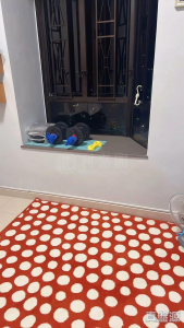 17761102414901680a-1847-4c9b-80e6-92e226994e6a.jpeg 沙田廣場 寶星閣 (D座) - 28NTS – 香港北部都會區