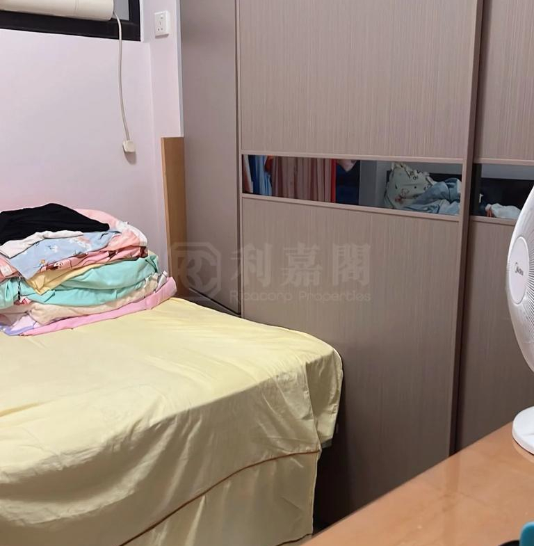 沙田廣場 寶星閣 (D座) - 28NTS – 香港北部都會區