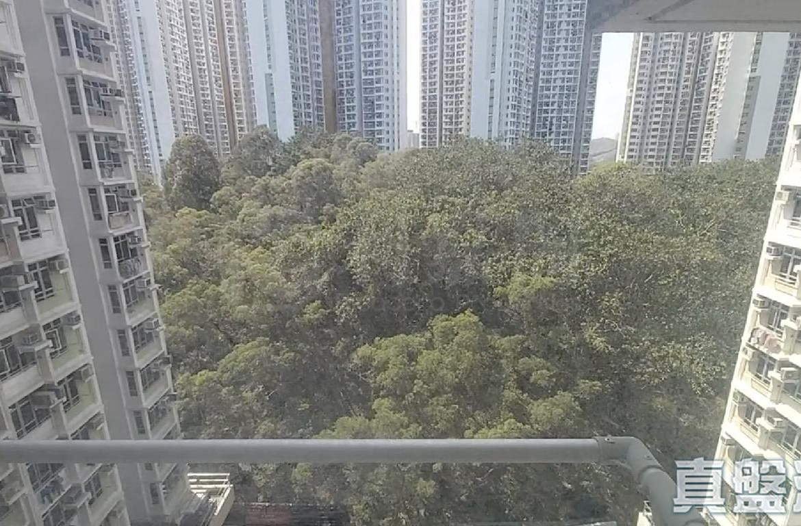 山麗苑 B座 - 28NTS – 香港北部都會區