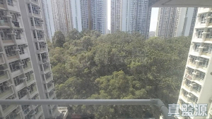 山麗苑 B座 - 28NTS – 香港北部都會區