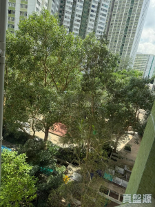 1776110485b9c2527d-0b93-4abf-aefa-3cdcc0ea02a5.jpeg 美城苑 逸城閣 (B座) - 28NTS – 香港北部都會區