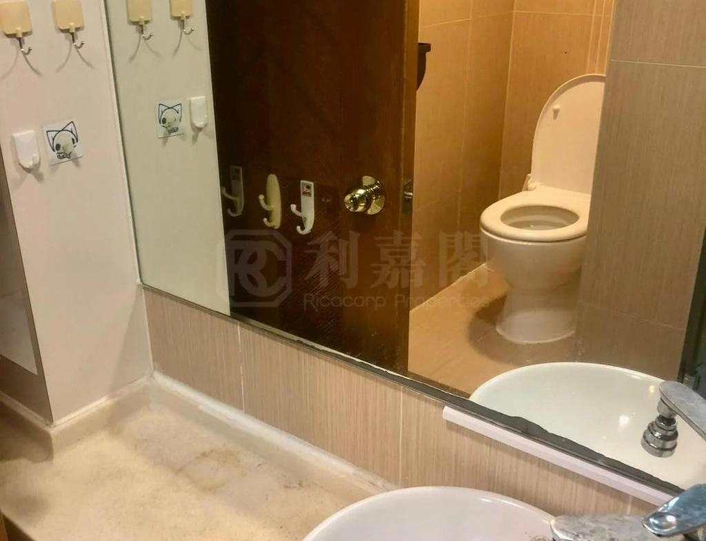 豐盛苑 榮盛閣 (A座) - 28NTS – 香港北部都會區