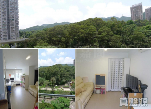 景田苑 恆心閣 (E座) - 28NTS – 香港北部都會區