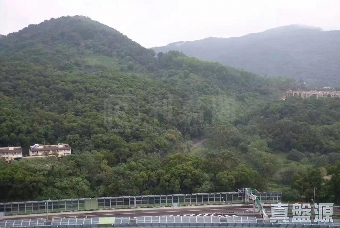 景雅苑 景欣閣 (A座) - 28NTS – 香港北部都會區