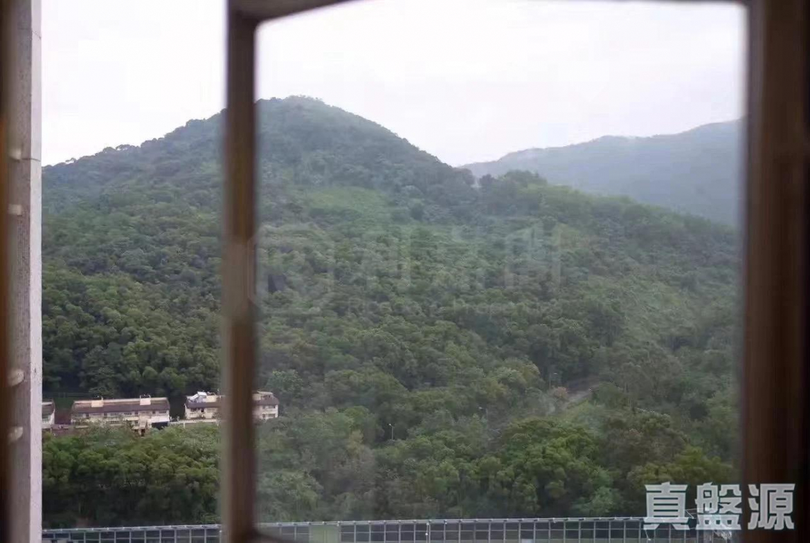 景雅苑 景欣閣 (A座) - 28NTS – 香港北部都會區