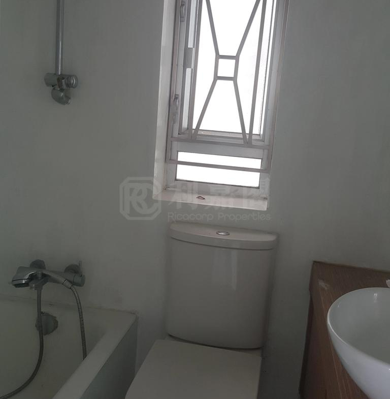 沙田中心 嘉寧大廈 (F座) - 28NTS – 香港北部都會區