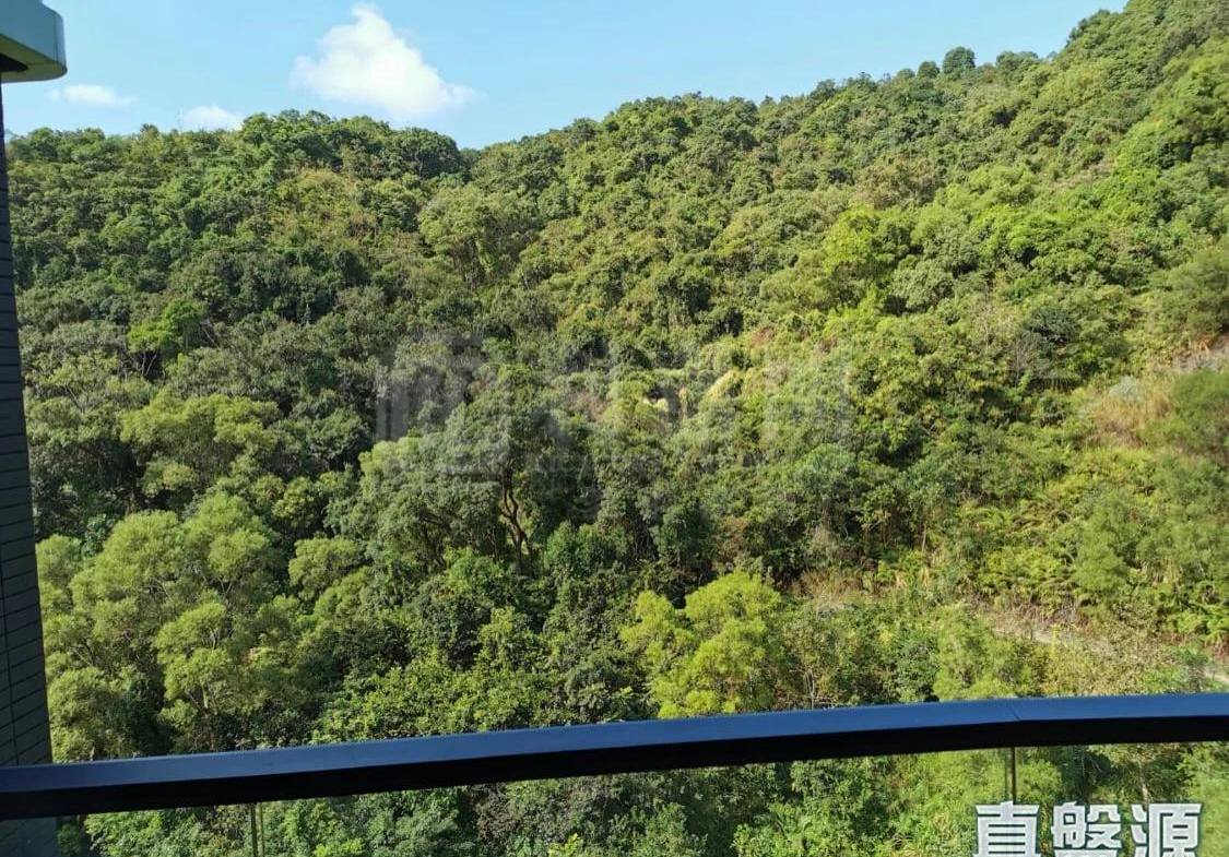 玖瓏山 天瓏閣 第2座 - 28NTS – 香港北部都會區
