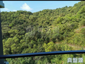 1776114246a44ba463-d3ea-4145-b1ea-c3ab9c1df367.jpeg 玖瓏山 天瓏閣 第2座 - 28NTS – 香港北部都會區