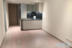 朗濤 8B座 - 28NTS – 香港北部都會區