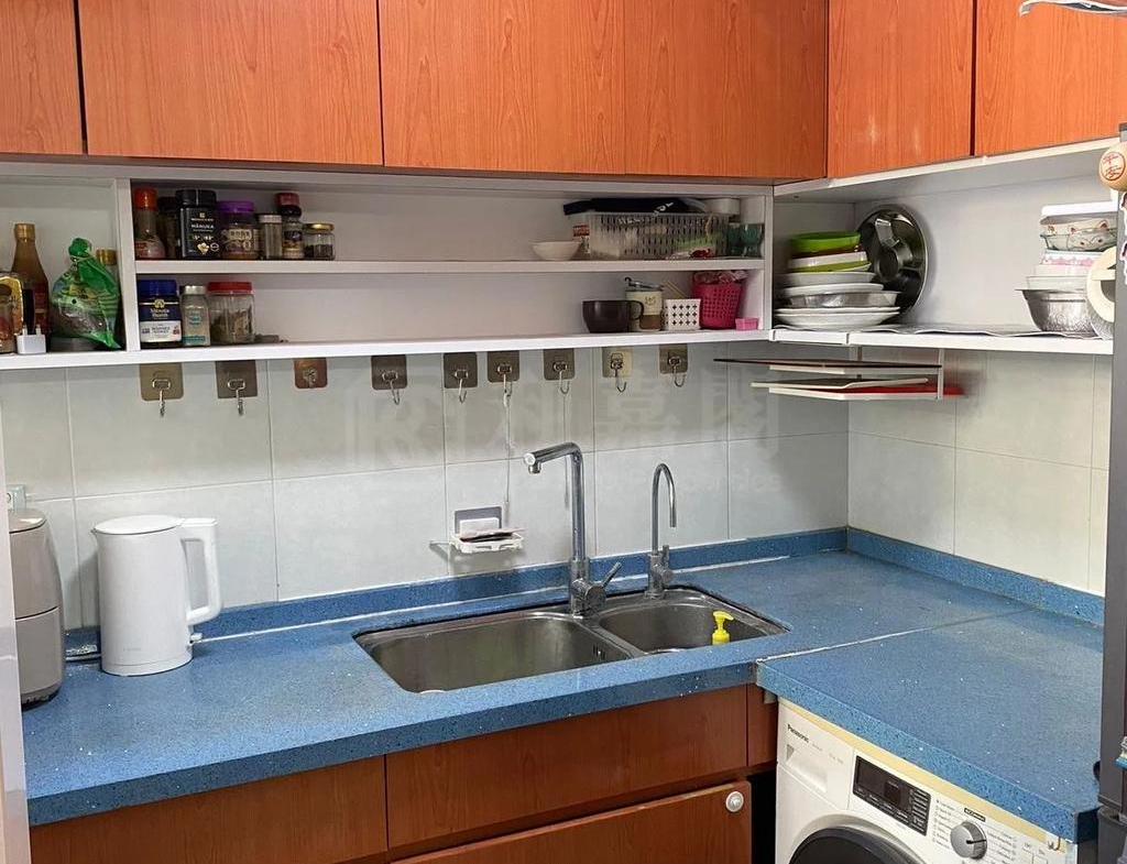 頌雅苑 頌真閣 (A座) - 28NTS – 香港北部都會區