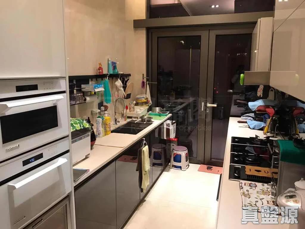 天賦海灣 2期 溋玥 - 28NTS – 香港北部都會區
