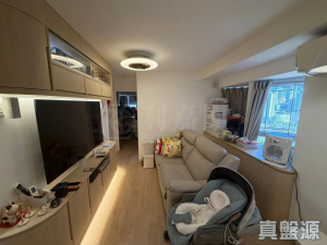希爾頓中心 B座 - 28NTS – 香港北部都會區