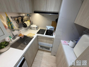 希爾頓中心 B座 - 28NTS – 香港北部都會區