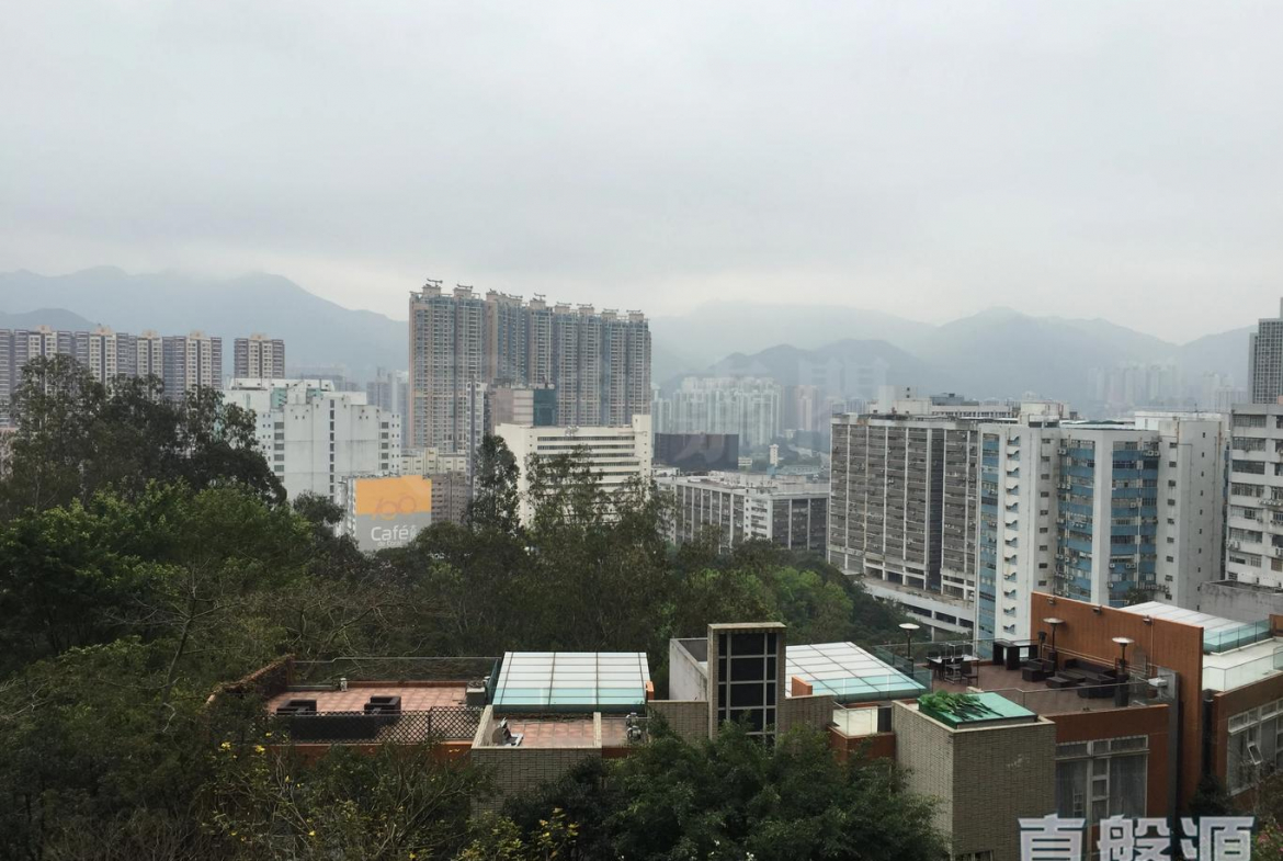 晉名峰 B座 - 28NTS – 香港北部都會區