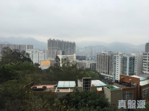 晉名峰 B座 - 28NTS – 香港北部都會區