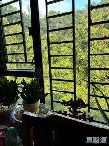 177611650650302078-33e4-420a-bb20-24188d43157f.jpeg 曉翠山莊 10座 - 28NTS – 香港北部都會區
