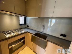 柏傲莊 2期 5座 (5A) - 28NTS – 香港北部都會區
