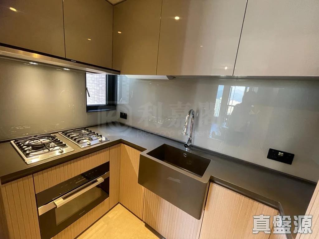 柏傲莊 2期 5座 (5A) - 28NTS – 香港北部都會區