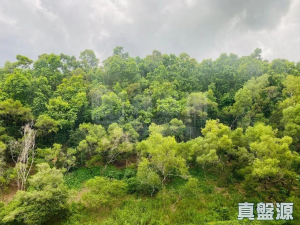 大埔寶馬山 10座 - 28NTS – 香港北部都會區