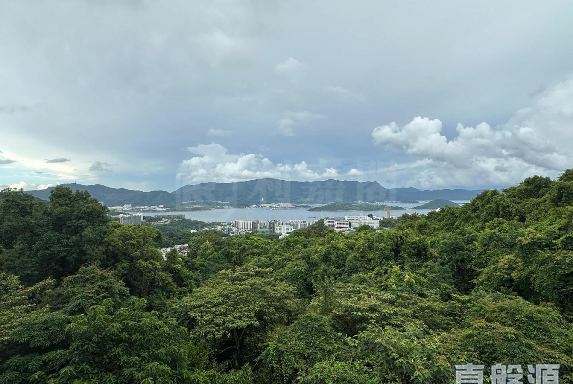 澐灃 2座 - 28NTS – 香港北部都會區