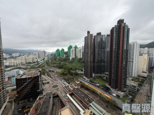 1776118623b0bb3a3e-d08c-4d02-b527-cbb6c0f50857.jpeg 御龍山 9座 - 28NTS – 香港北部都會區